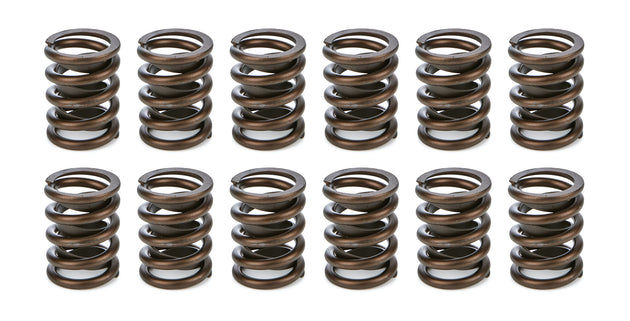 1.440 Valve Spring Set 6-Cylinder