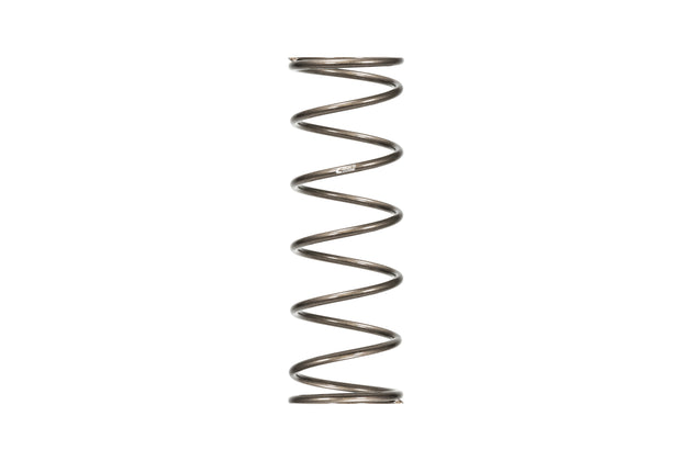 Spring Rear 20in x 5in x 100#