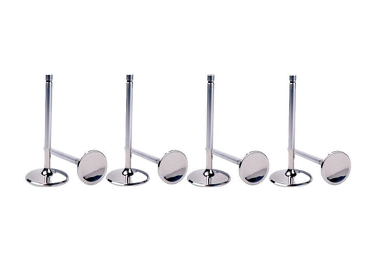 1.460 C/P Intake Valve Ford 5.0L DOHC