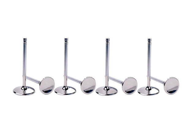 1.460 C/P Intake Valve Ford 5.0L DOHC