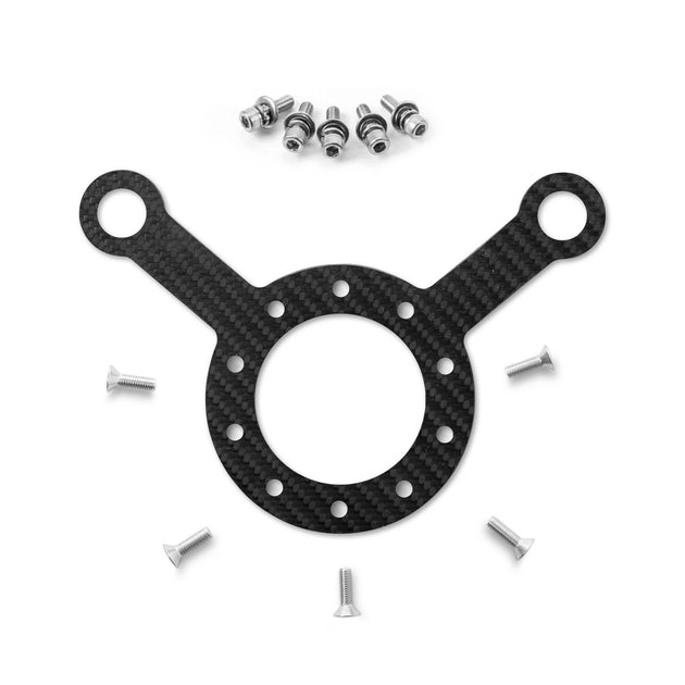 Carbon Fiber Plate w/2 Hole Switch