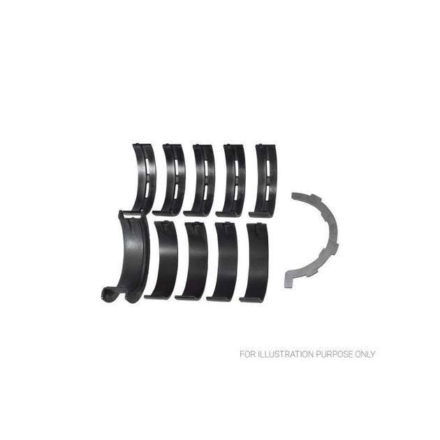 Main Bearing Set  - Ford 5.0L Coyote