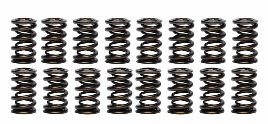 1.260 Dual Valve Springs (16)