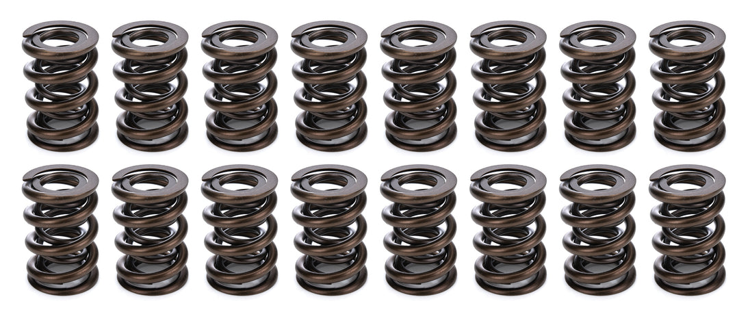 1.570 Dual Valve Springs CT 1200 Series (16)