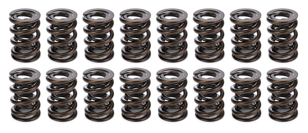 1.570 Dual Valve Springs CT 1200 Series (16)