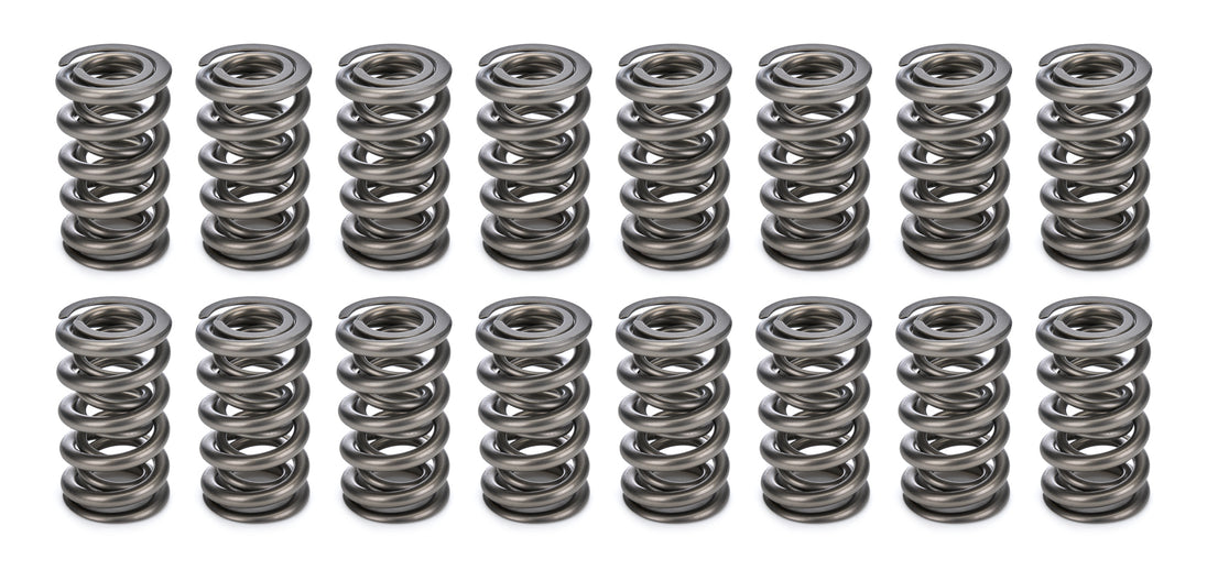 1.284 Dual Valve Springs (16)