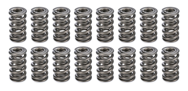 1.284 Dual Valve Springs (16)